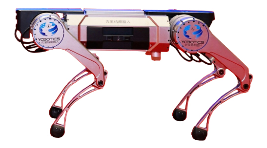 10cf.jpg