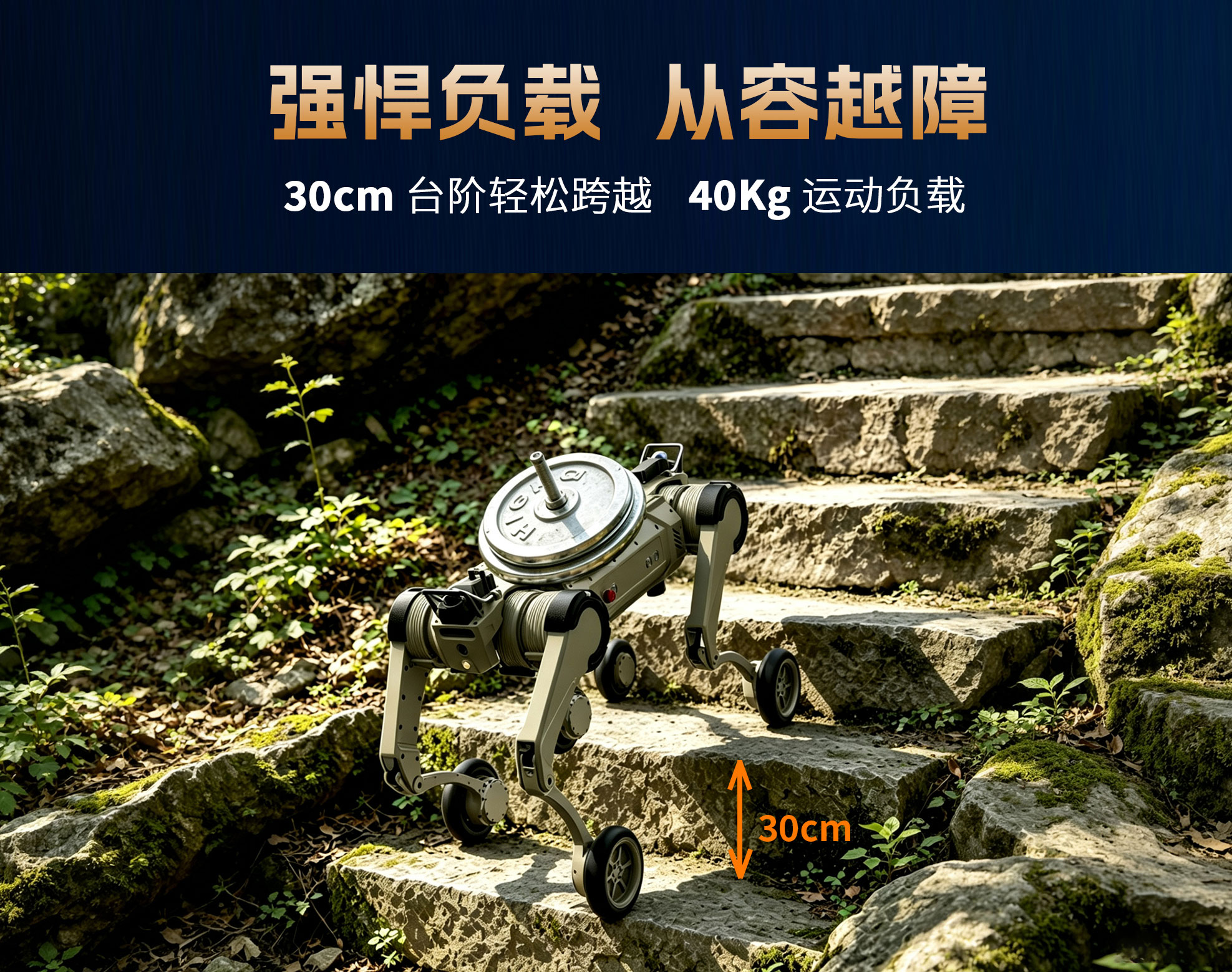 y30w-4.jpg